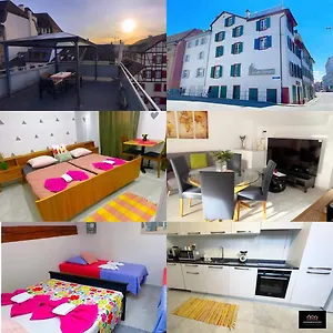 City Apartments Basel Daire